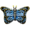 Globos de Foil Supershape Mariposa Azul