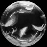 Globos 18" Bubble Transparente Plumas